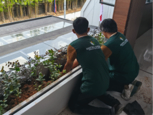Mantika Gardena - Spesialis Tanaman Landscape