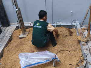 Mantika Gardena - Spesialis Tanaman Landscape