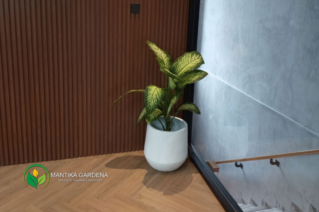 Penataan Tanaman Hias Interior Mantika Gardena untuk PT. Global Indojaya Orion