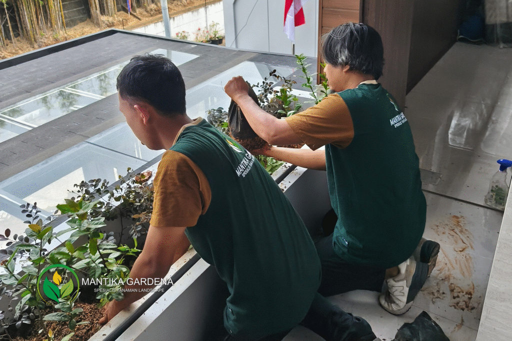 Transformasi Lanskap Hijau Asri & Modern untuk PT. Branels Citra Abadi di Pulomas